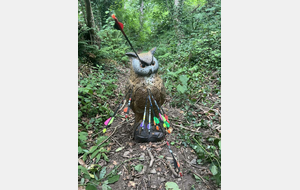 DECOUVERTE  DU TIR PARCOURS sur le site des Etangs de Craham à -CAHAGNES le 21 JUIN 2025