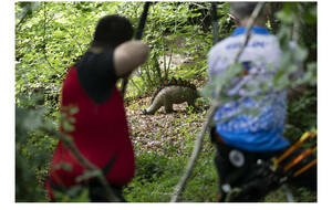 photo prise par Arnaud DIDIER