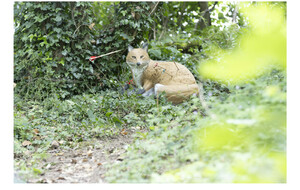 photo prise par Arnaud DIDIER