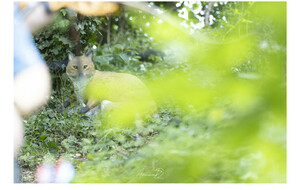 photo prise par Arnaud DIDIER