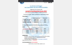 CONCOURS  TIR 3D-VERN SUR SEICHE